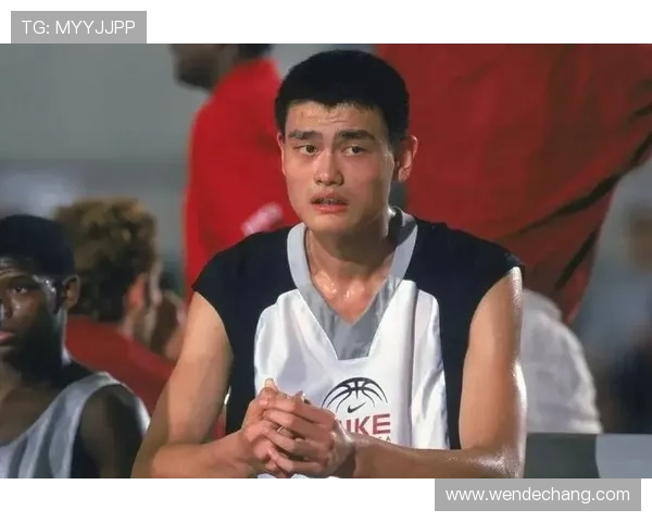 姚明03赛季的辉煌历程与NBA生涯的初步崭露头角 姚明03赛季的辉煌历程与NBA生涯的初步崭露头角